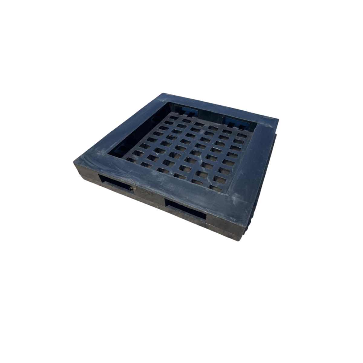 WP-1000 - Imagen 2
